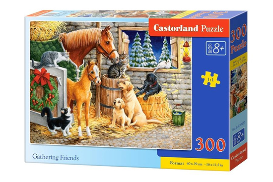 Puzzle 300 pieces Gathering Friends