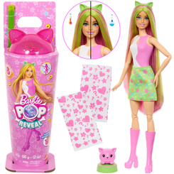 Mattel Barbie Pop Reveal doll from the series: Shake + cat and accessories ZA6061