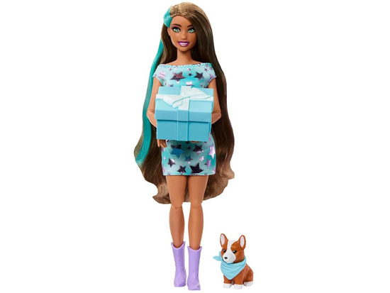 Mattel Barbie Party Unboxed doll from the series: Birthday + corgi dog ZA6066