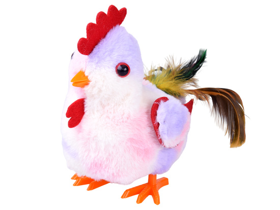 The toddling HEN Grażyna, sweetie! - crows and flaps her wings ZA6018