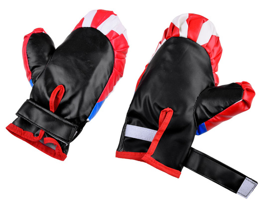 Boxing set BAG + GLOVES boxing SP0691