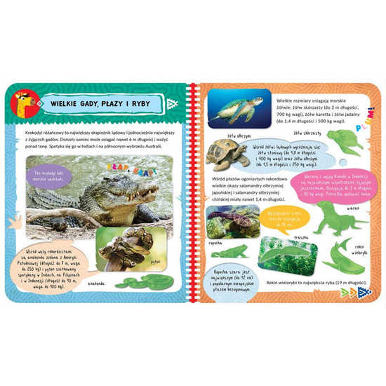 Aksjomat Album z naklejkami. Niesamowite zwierzęta KS0733