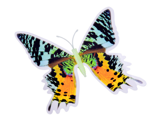 Magical Fluorescent Butterflies and Stars – Glowing Stickers ZA5681