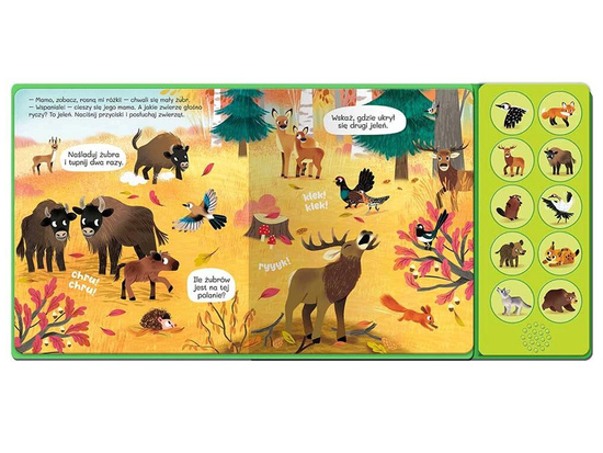 We listen to animals! Book with sounds. In the forest. 10 sounds KS1033