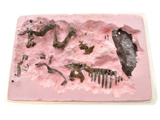  T-REX 3D skeleton excavation set ZA1777 A
