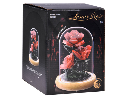 Illuminated ROSE under the dome - flowers, 219 pieces ZA5901