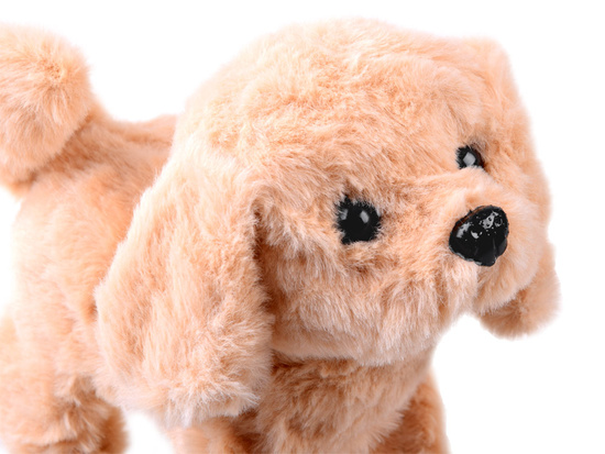 Interaktywny pluszowy Piesek w salonie SPA akcesoria transporter ZA4355