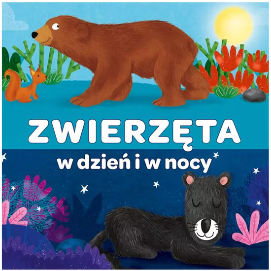 Kapita Nauka Książeczka harmonijkowa Zwierzęta w dzień i w nocy KS1222