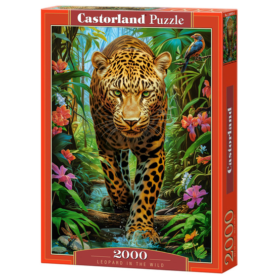 Puzzle 2000 pieces Leopard in the Wild
