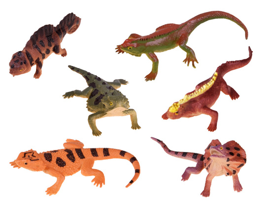 Lizard reptiles Set of lizards 6 pcs ZA4189