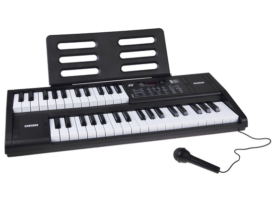 61-key KEYBOARD organ with SPLIT function + microphone IN0185