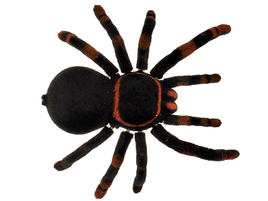 Remote controlled Black Widow SPIDER RC0251