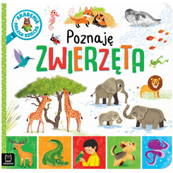 Aksjomat Akademia małego dziecka. Poznaję zwierzęta KS1040