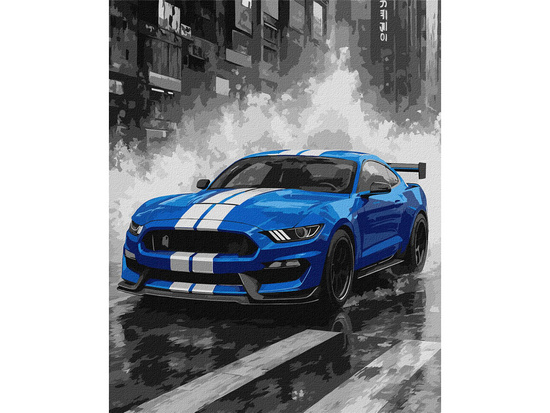 Paint by numbers 40x50 cm Blue racing sports car AP0107