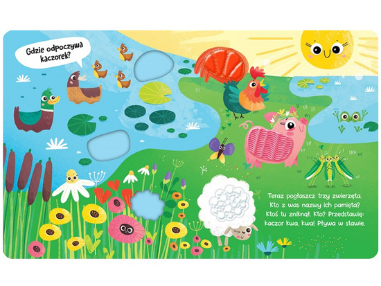 Axiom In the Henhouse and Pigsty. Sensory Book KS1145