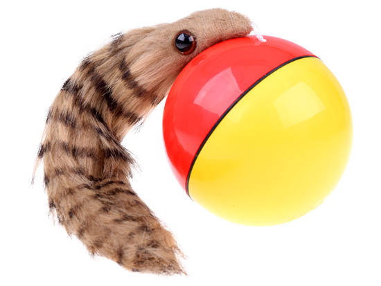 Runaway ball with a fluffy tail - Ferret ZA 4970