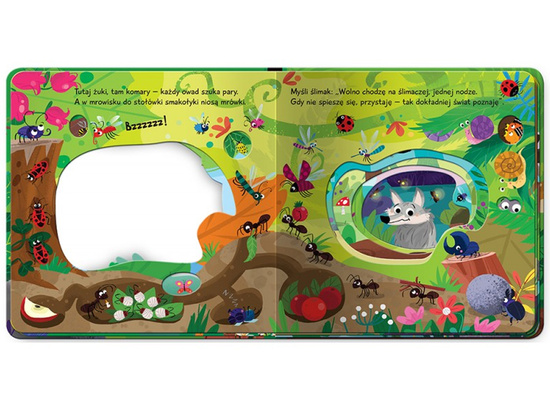 Axiom: A Journey into the Animal World. In the Forest KS1173