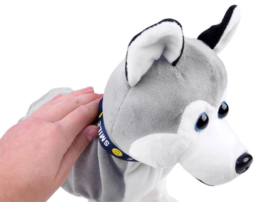 Interactive Husky Dog Responds to Touch Jaw + Various Tricks ZA1333