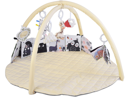 Educational Baby Play Mat with Arch + Toys, Teether, Contrast Book ZA5827