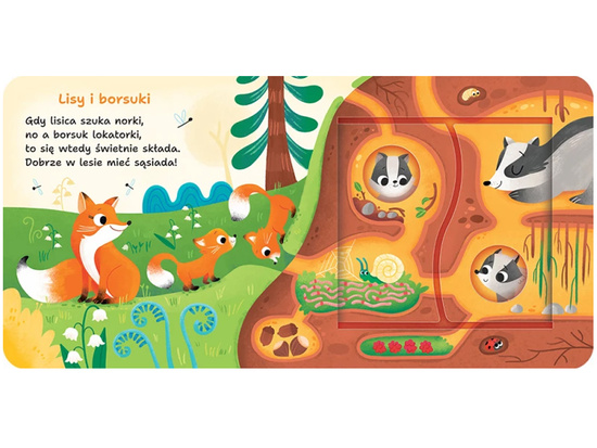 Axiom In the Forest. Double Windows – Open and Discover Forest Secrets! KS1146