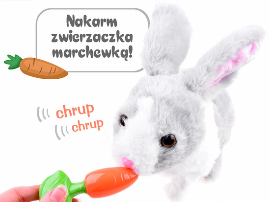 Interactive pet Rabbit guinea pig ZA2685