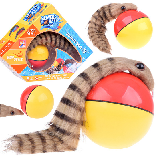 Runaway ball with a fluffy tail - Ferret ZA 4970