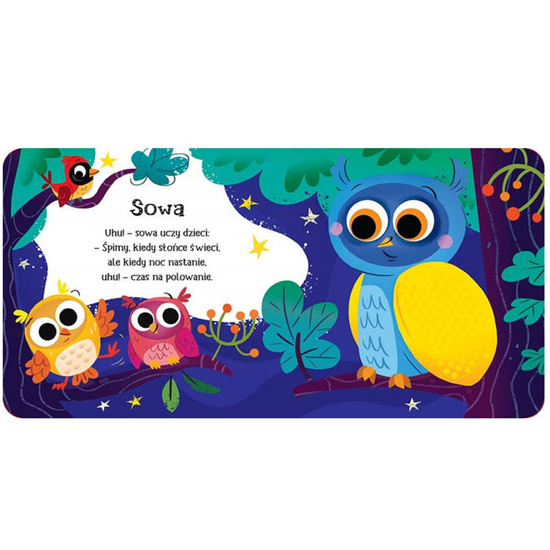 Aksjomat Książeczka sensoryczna ZWIERZĘTA LEŚNE KS0483