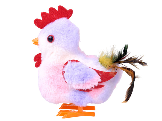 The toddling HEN Grażyna, sweetie! - crows and flaps her wings ZA6018
