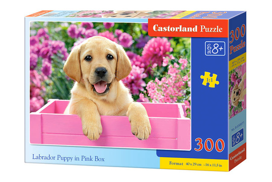 Puzzle 300 pcs. Labrador Puppy in Pink Box
