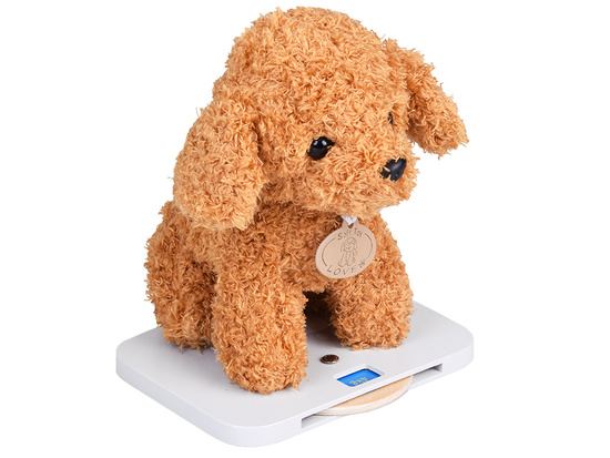 Wooden Veterinary Clinic – Vet Clinic with Puppy + Accessories ZA5939