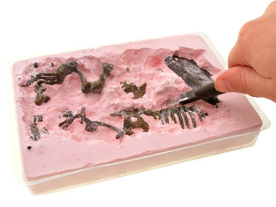  T-REX 3D skeleton excavation set ZA1777 A