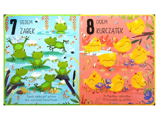 Aksjomat Zwierzęta. Dotykam, poznaję kolory i liczę KS0835