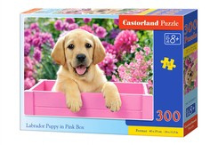 Puzzle 300 pcs. Labrador Puppy in Pink Box