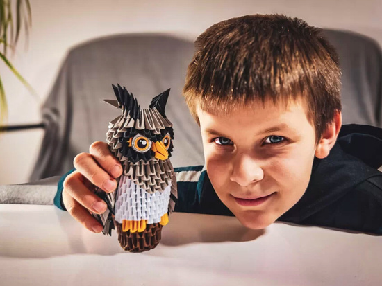 3D Origami Creative Kit – Owl ZA6073