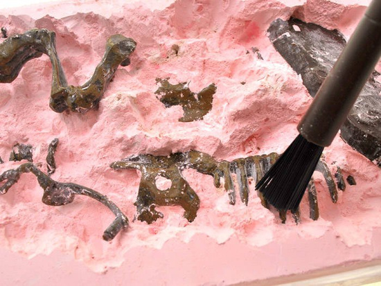  T-REX 3D skeleton excavation set ZA1777 A