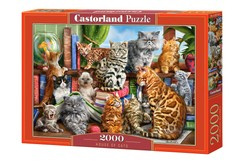 Puzzle 2000 el. House of Cats