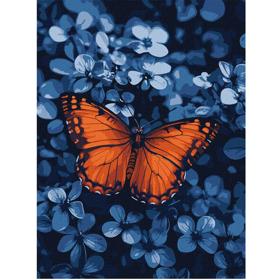 Malowanie po numerach 30x40cm KHO6733 Światło wśród ciemności motyl AP0072 