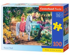 Puzzle 100 Secret Trail