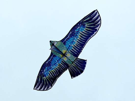 Large Light Kite BIRD Eagle - Realistic predatory hunting bird ZA5572