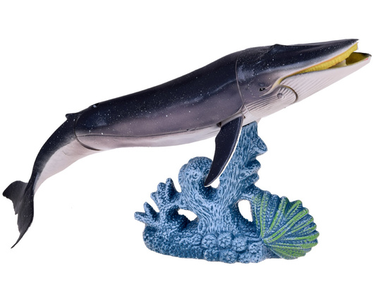 MARINE ANIMALS SERIES Set of figures: shark, crab, killer whale, octopus ZA5175