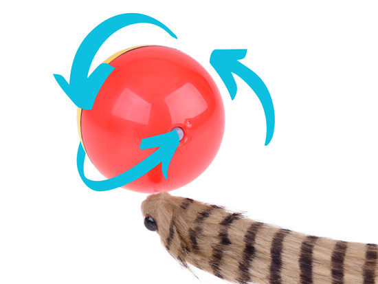 Runaway ball with a fluffy tail - Ferret ZA 4970