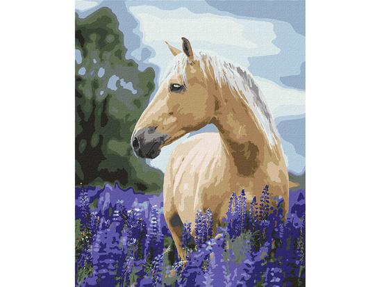 Painting by numbers 40x50 cm KHO4392 Walking through the lavender field AP0105