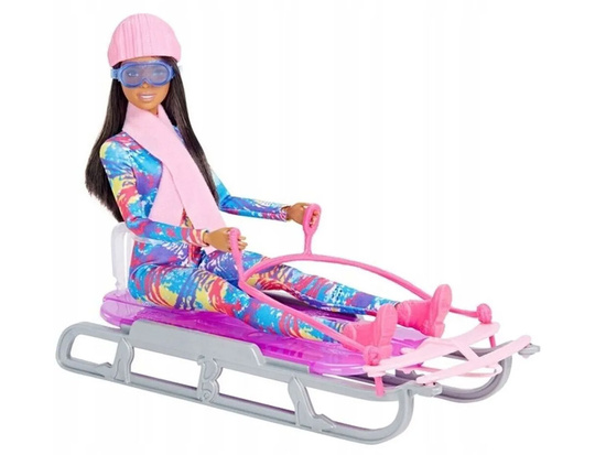 Mattel Barbie You Can Be Anything Winter Doll + Sled ZA6033