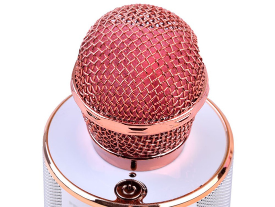 Wireless karaoke microphone speaker IN0136