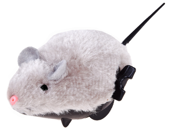  Mouse screwed to the child and cat ZA0838
