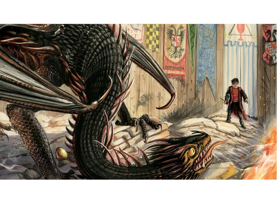 Media Rodzina Harry Potter i Czara Ognia. Tom 4 (ilustrowany) KS1277