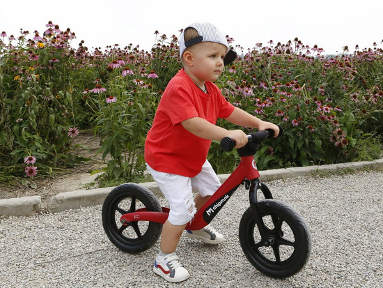 RoyalBaby Balance bike frame Magnesium EVA RO0132