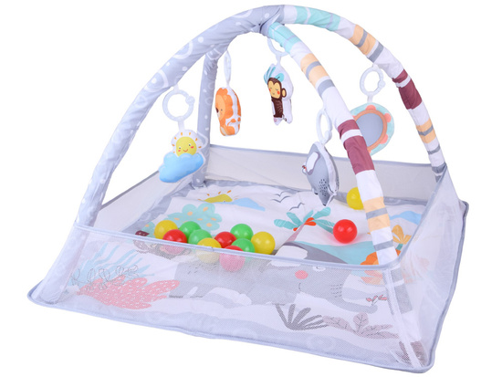 Educational Play Mat with Arch + Play Yard + Colorful Balls + Toys ZA5823