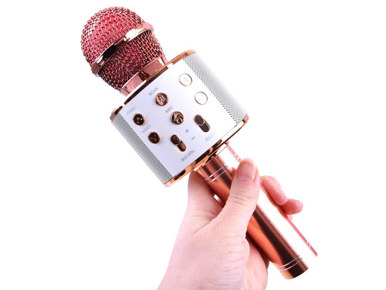 Wireless karaoke microphone speaker IN0136