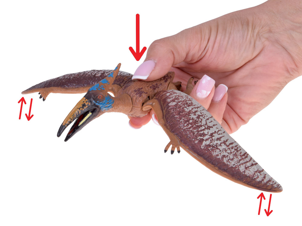 Zestaw figurek duże dinozaury 4 sztuki figurki ruchome elementy ZA5689 pol_pl_Zestaw-figurek-duze-dinozaury-4-sztuki-figurki-ruchome-elementy-ZA5689-22360_17